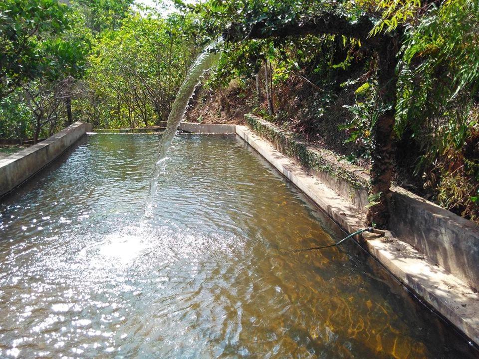 Fazenda Hotel Bem Ecologico Planaltina  Экстерьер фото